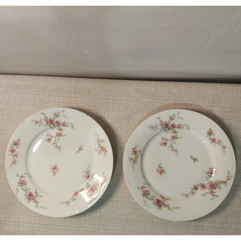 ANTIQUE Theodore Haviland Limoges France Patent Applied 2 Dinner‎ Plates Floral